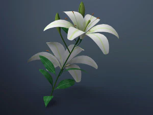 flor de lirio Modelo 3D