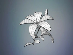 flor de lirio Modelo 3D