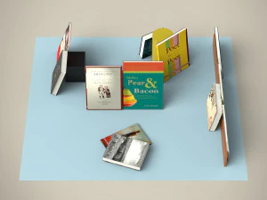 books set 3D Model