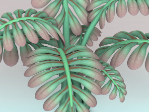 fern plant 3D 模型