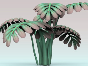 fern plant 3D 模型