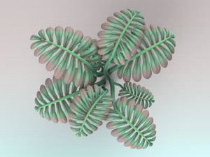 fern plant 3D 模型