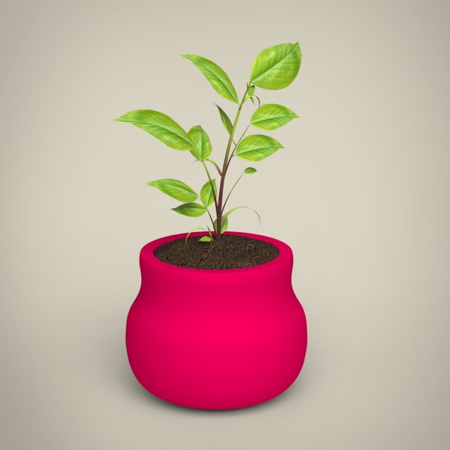 plant 3D Модель .c4d .max .obj .3ds .fbx .stl .blend 