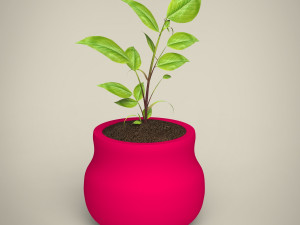plant 3D Model