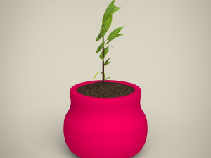 plant 3D Модель