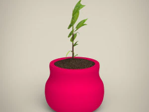 plant 3D Model