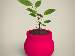 plant 3D Модель