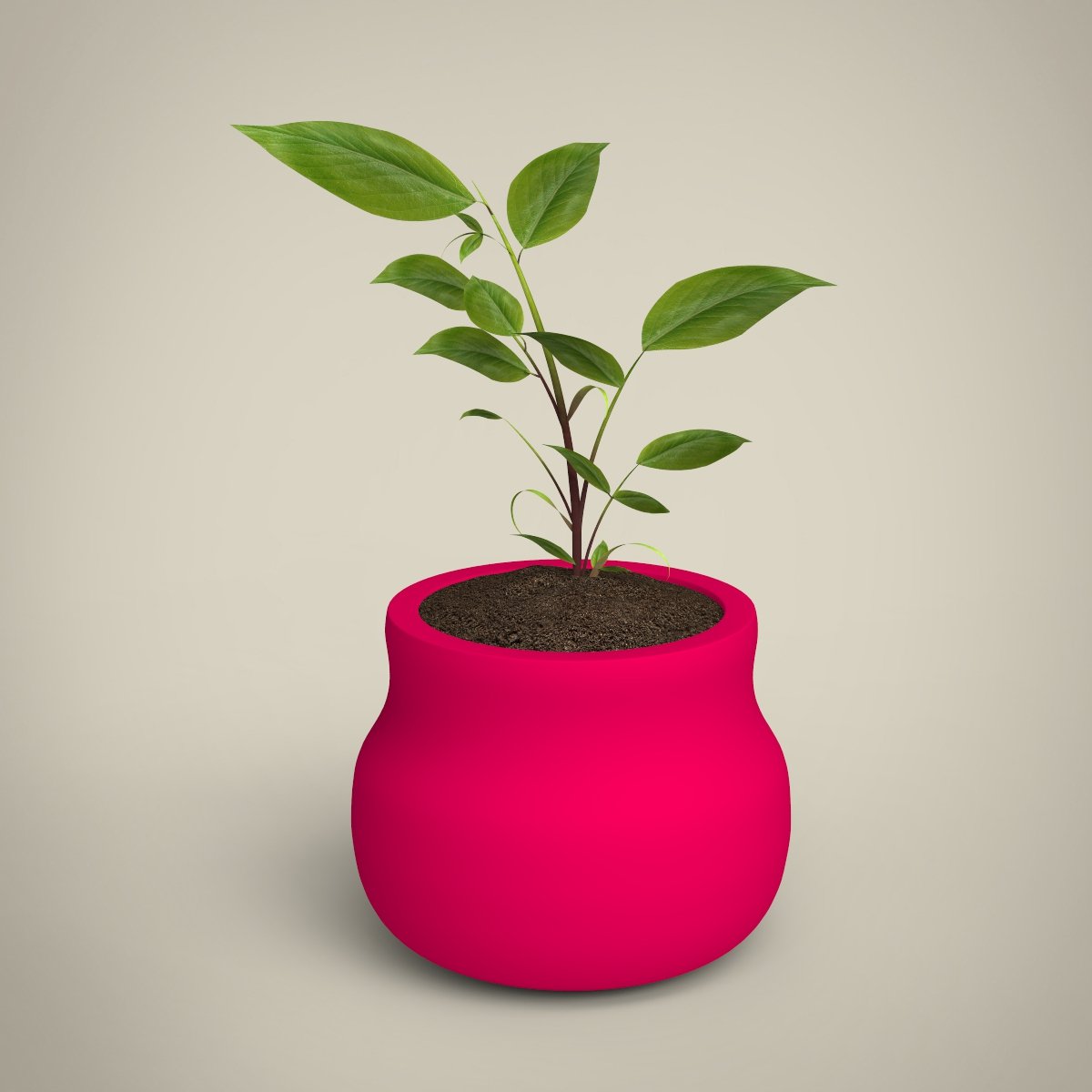 3d модели растения. Plant 3d model. Small Plant 3d. Potato Plant 3d model. Soya3d.