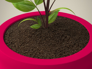plant 3D Модель