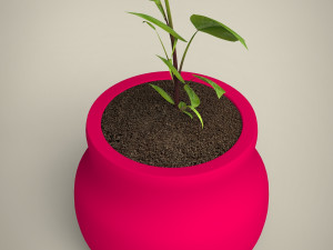 plant 3D Модель
