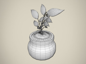 plant 3D Модель