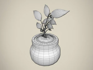 plant 3D Model