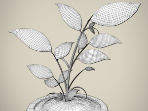 plant 3D Модель