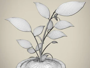 plant 3D Model