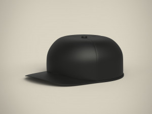 cap 3D 모델