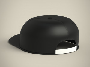 cap 3D 모델