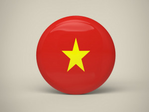 Vietnam Badge 3Dモデル
