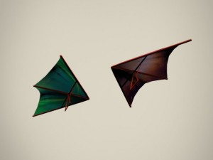 hang glider Modèle 3D