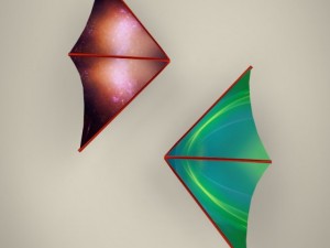 hang glider Modèle 3D