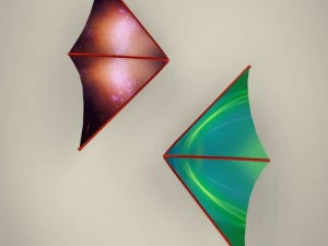hang glider 3D Model