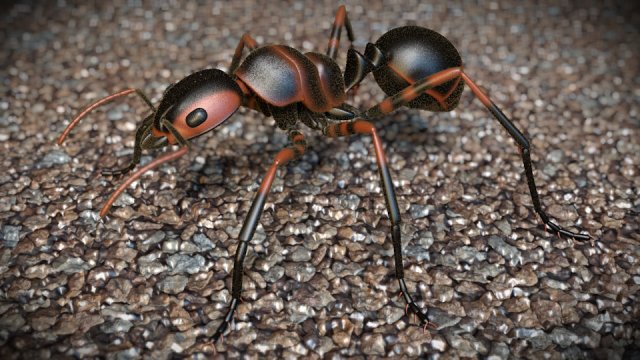 ant 3D मॉडल .c4d .max .obj .3ds .fbx .stl .blend 