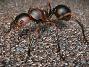 ant 3D Model