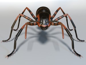 ant 3D मॉडल