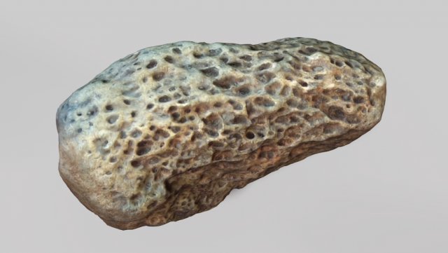 fossil bone 3D मॉडल .c4d .max .obj .3ds .fbx .stl .blend 