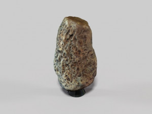 fossil bone 3D मॉडल