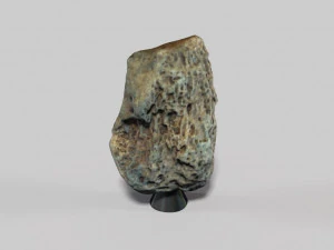 fossil bone 3D Model