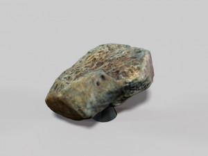 fossil bone 3D मॉडल