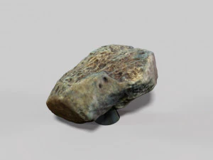 fossil bone 3D Model