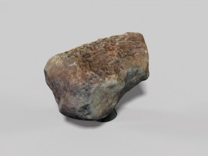 fossil bone 3D मॉडल
