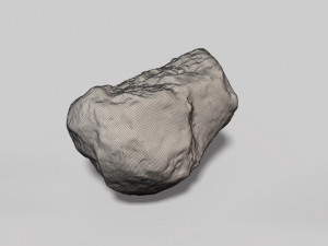 fossil bone 3D मॉडल