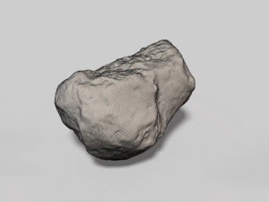 fossil bone 3D Model