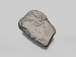 fossil bone 3D मॉडल