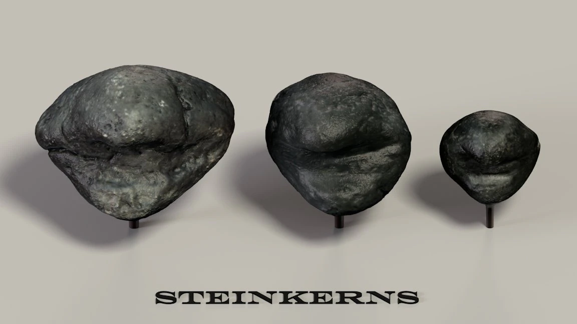 fossil mollusks 3D Model .c4d .max .obj .3ds .fbx .stl .blend 