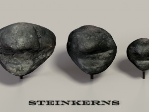 fossil mollusks Modelo 3D