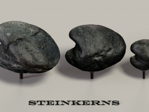 fossil mollusks 3D 模型