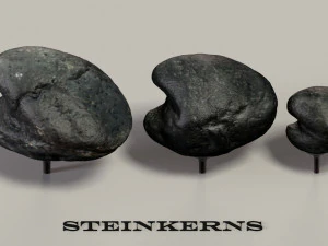 fossil mollusks 3D Model