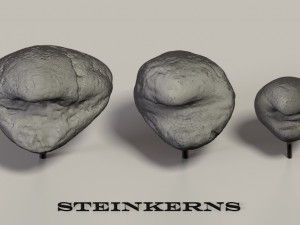 fossil mollusks 3D 模型
