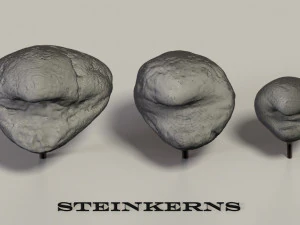 fossil mollusks 3D Model