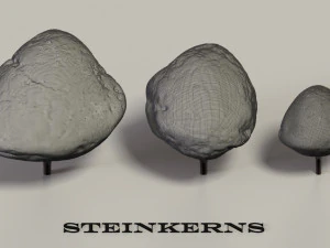 fossil mollusks 3D Model