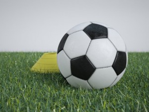 portable soccer goal net and ball with cone 3D 모델
