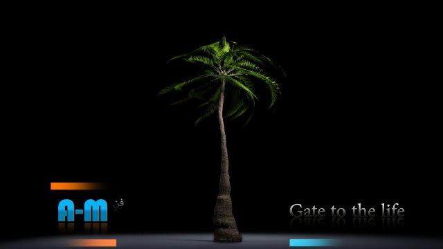 animation palm 3D 模型 .c4d .max .obj .3ds .fbx .stl .blend 