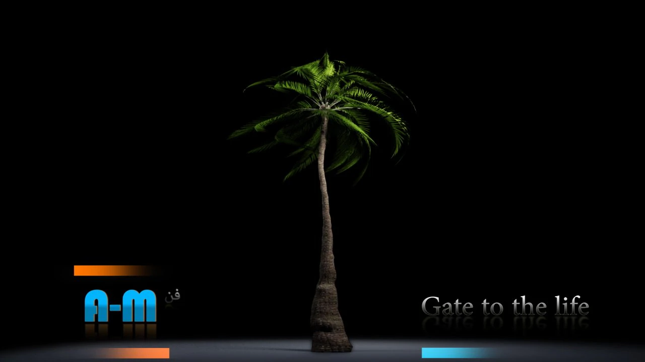 palma di animazione Modello 3D .c4d .max .obj .3ds .fbx .stl .blend 