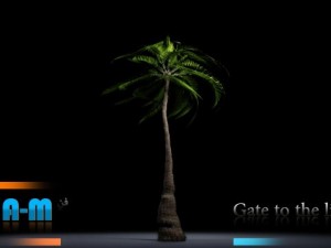 animation palm 3D Model