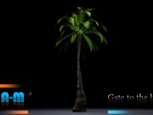 animation palm 3D 模型