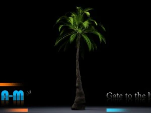 palma di animazione Modello 3D