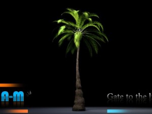 animation palm 3D 模型